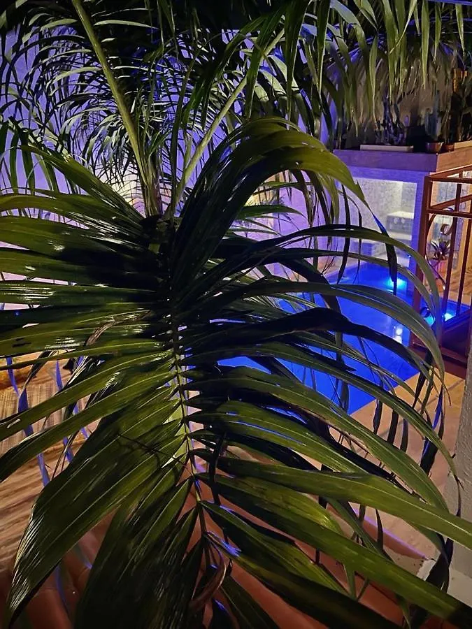 Inn Villa Lulu Geribá Búzios