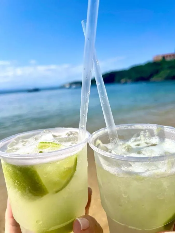 Villa Lulu Geriba Búzios ブラジル
